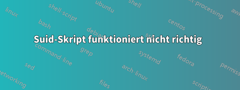 Suid-Skript funktioniert nicht richtig