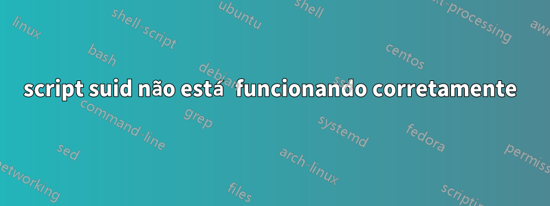 script suid não está funcionando corretamente 