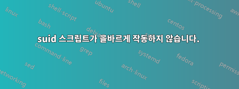 suid 스크립트가 올바르게 작동하지 않습니다.
