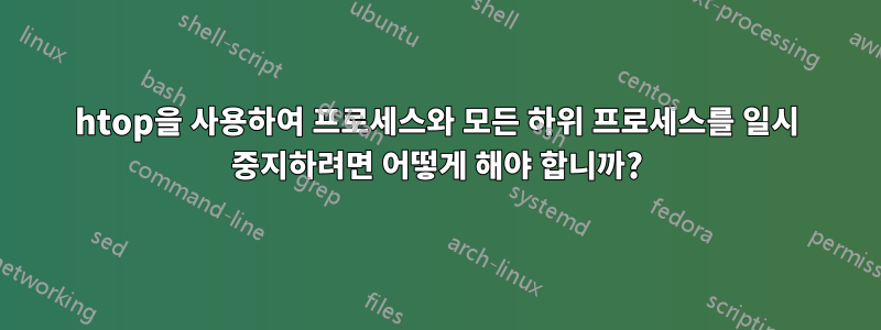 htop을 사용하여 프로세스와 모든 하위 프로세스를 일시 중지하려면 어떻게 해야 합니까?