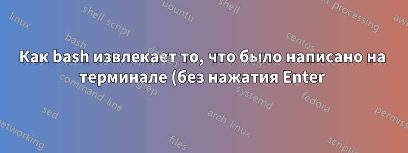 Как bash извлекает то, что было написано на терминале (без нажатия Enter)?