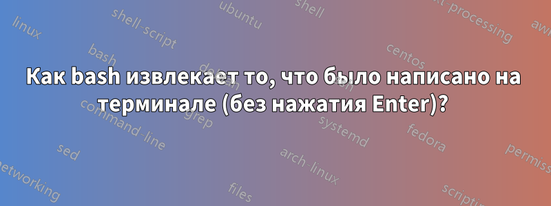 Как bash извлекает то, что было написано на терминале (без нажатия Enter)?