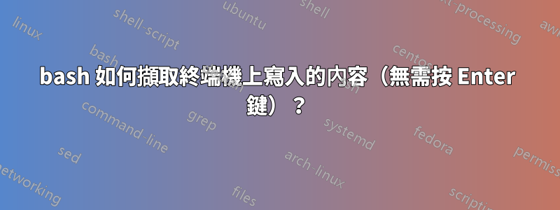 bash 如何擷取終端機上寫入的內容（無需按 Enter 鍵）？