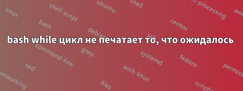 bash while цикл не печатает то, что ожидалось
