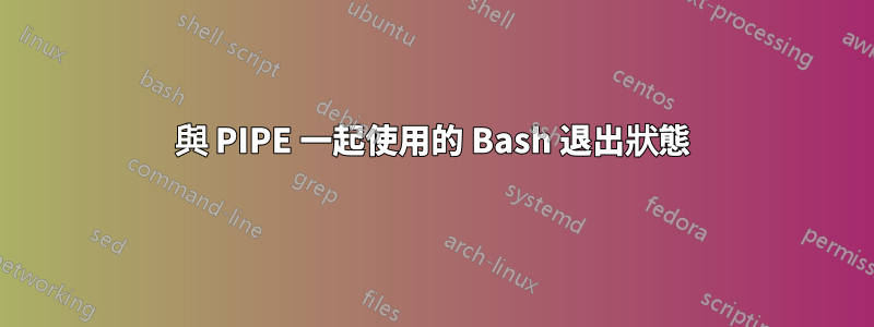 與 PIPE 一起使用的 Bash 退出狀態