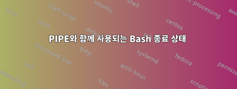 PIPE와 함께 사용되는 Bash 종료 상태