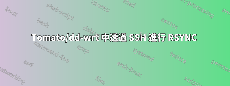 Tomato/dd-wrt ​​中透過 SSH 進行 RSYNC