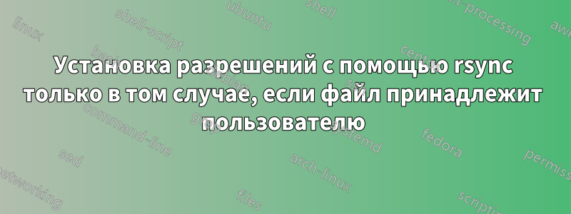 Установка разрешений с помощью rsync только в том случае, если файл принадлежит пользователю