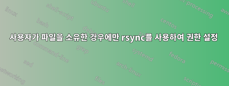 사용자가 파일을 소유한 경우에만 rsync를 사용하여 권한 설정