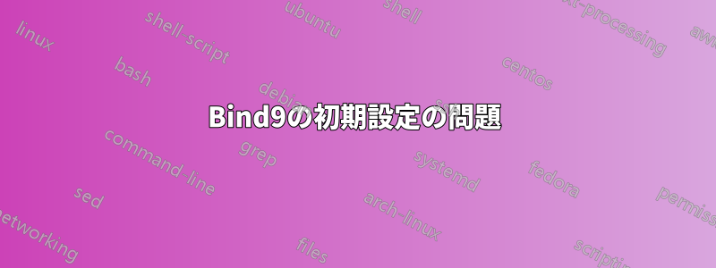 Bind9の初期設定の問題