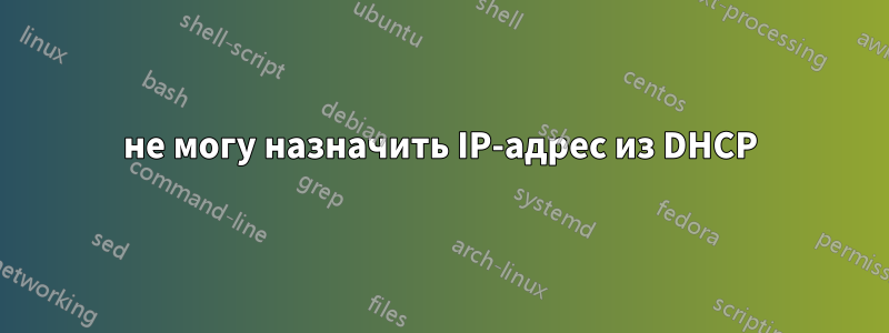 не могу назначить IP-адрес из DHCP