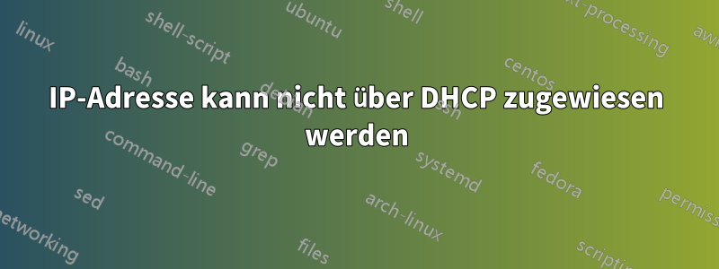 IP-Adresse kann nicht über DHCP zugewiesen werden