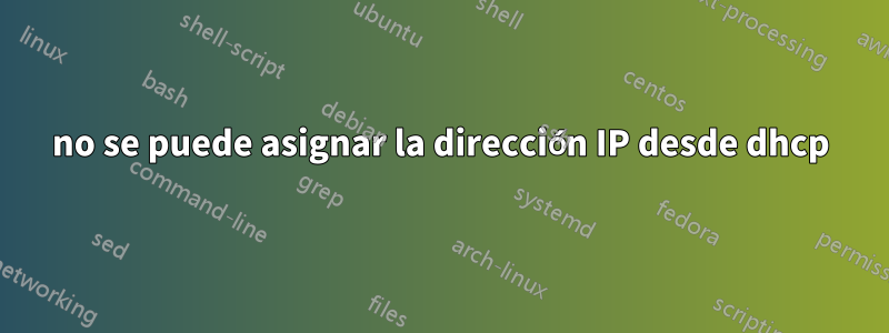 no se puede asignar la dirección IP desde dhcp