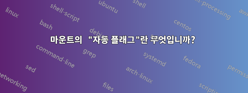 마운트의 "자동 플래그"란 무엇입니까?