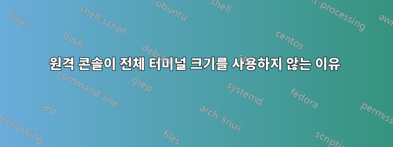 원격 콘솔이 전체 터미널 크기를 사용하지 않는 이유