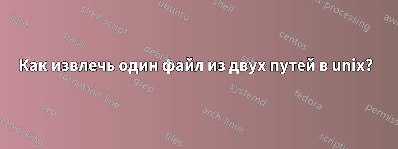 Как извлечь один файл из двух путей в unix? 