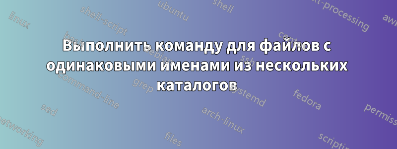 Выполнить команду для файлов с одинаковыми именами из нескольких каталогов