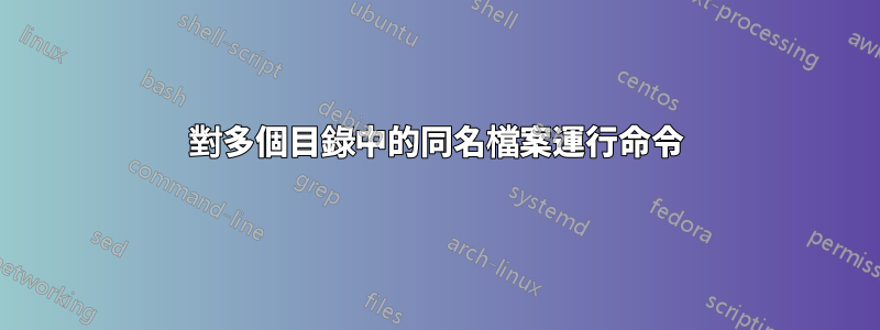 對多個目錄中的同名檔案運行命令