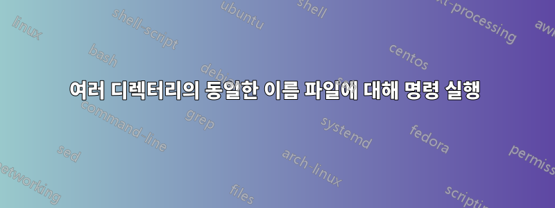 여러 디렉터리의 동일한 이름 파일에 대해 명령 실행