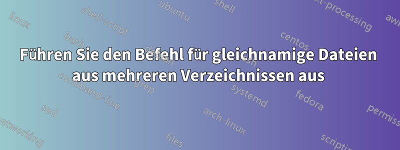 Führen Sie den Befehl für gleichnamige Dateien aus mehreren Verzeichnissen aus