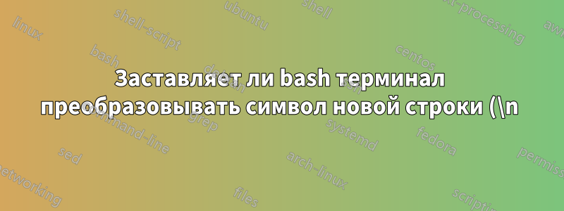 Заставляет ли bash терминал преобразовывать символ новой строки (\n) в символ возврата каретки (\r)?