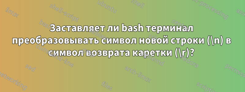 Заставляет ли bash терминал преобразовывать символ новой строки (\n) в символ возврата каретки (\r)?