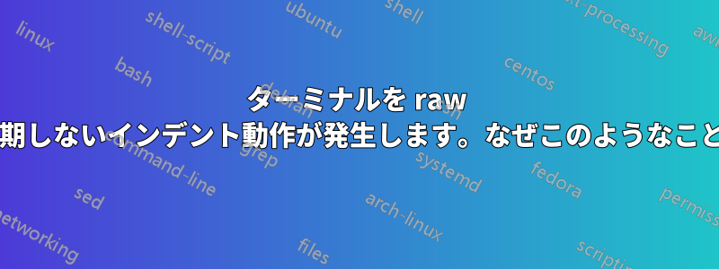 ターミナルを raw モードに設定すると、予期しないインデント動作が発生します。なぜこのようなことが起こるのでしょうか?