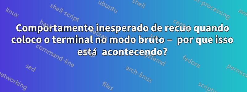 Comportamento inesperado de recuo quando coloco o terminal no modo bruto – por que isso está acontecendo?