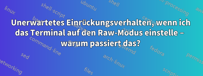 Unerwartetes Einrückungsverhalten, wenn ich das Terminal auf den Raw-Modus einstelle – warum passiert das?