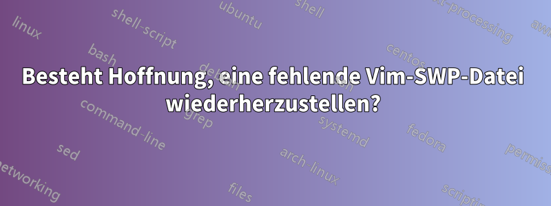 Besteht Hoffnung, eine fehlende Vim-SWP-Datei wiederherzustellen?