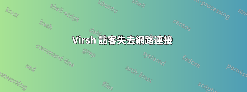 Virsh 訪客失去網路連接