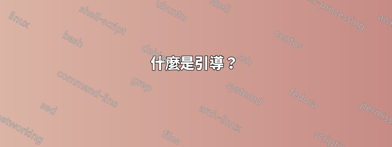 什麼是引導？