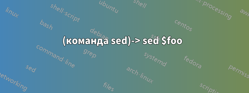 (команда sed)-> sed $foo 