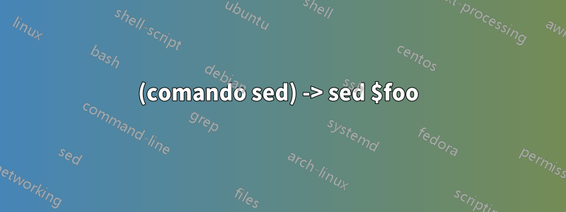 (comando sed) -> sed $foo 