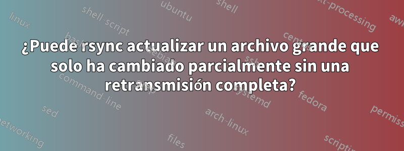 ¿Puede rsync actualizar un archivo grande que solo ha cambiado parcialmente sin una retransmisión completa?