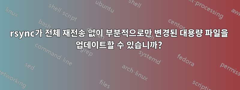 rsync가 전체 재전송 없이 부분적으로만 변경된 대용량 파일을 업데이트할 수 있습니까?