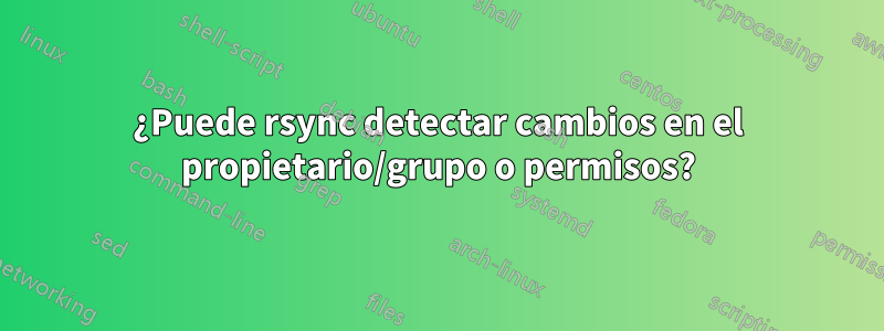 ¿Puede rsync detectar cambios en el propietario/grupo o permisos?