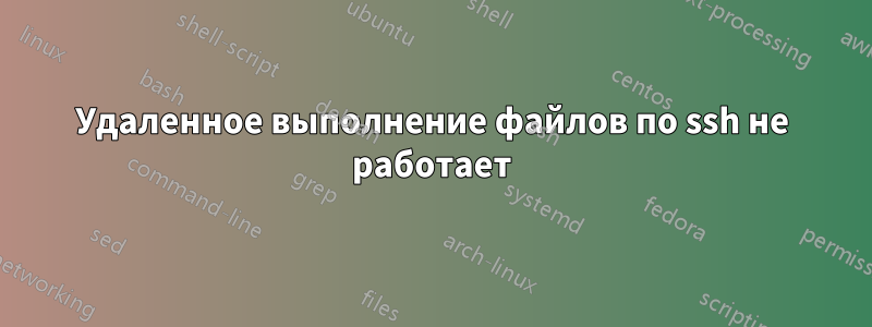 Удаленное выполнение файлов по ssh не работает