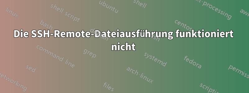 Die SSH-Remote-Dateiausführung funktioniert nicht