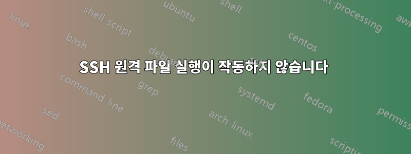 SSH 원격 파일 실행이 작동하지 않습니다