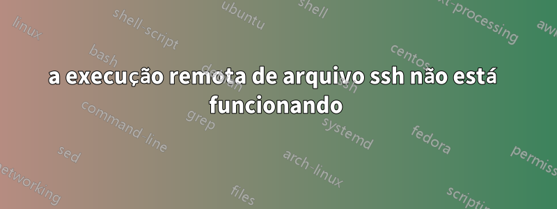 a execução remota de arquivo ssh não está funcionando