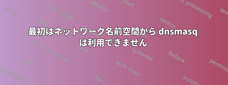 最初はネットワーク名前空間から dnsmasq は利用できません