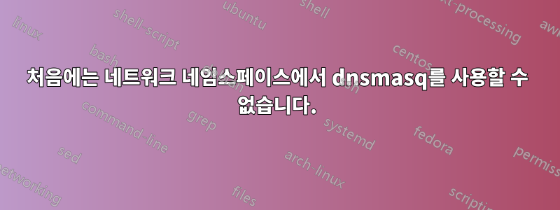 처음에는 네트워크 네임스페이스에서 dnsmasq를 사용할 수 없습니다.