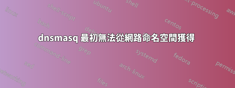 dnsmasq 最初無法從網路命名空間獲得