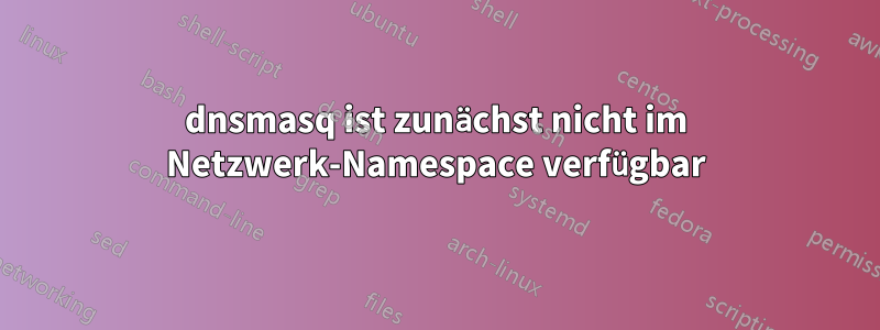 dnsmasq ist zunächst nicht im Netzwerk-Namespace verfügbar