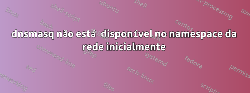 dnsmasq não está disponível no namespace da rede inicialmente