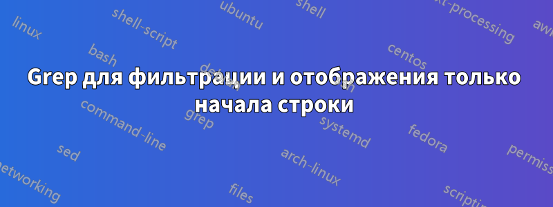 Grep для фильтрации и отображения только начала строки