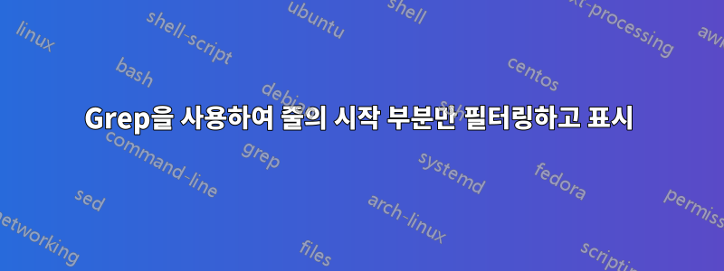 Grep을 사용하여 줄의 시작 부분만 필터링하고 표시