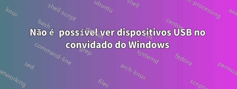 Não é possível ver dispositivos USB no convidado do Windows