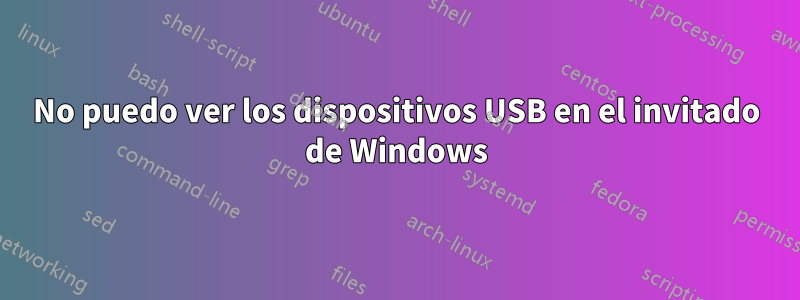 No puedo ver los dispositivos USB en el invitado de Windows